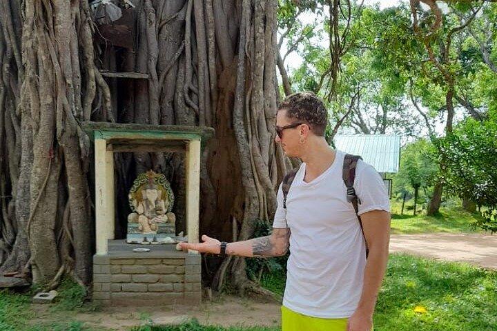 Excursão de 7 dias no Sri Lanka