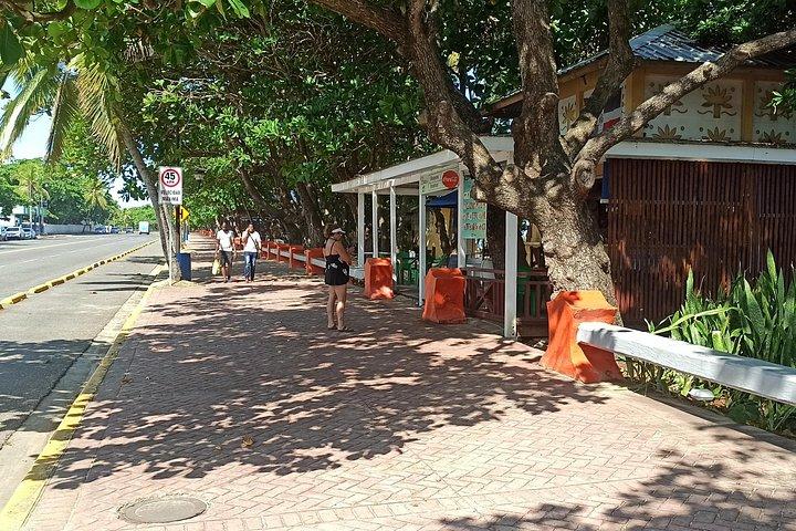 Privat og tilpasset Puerto Plata bytur