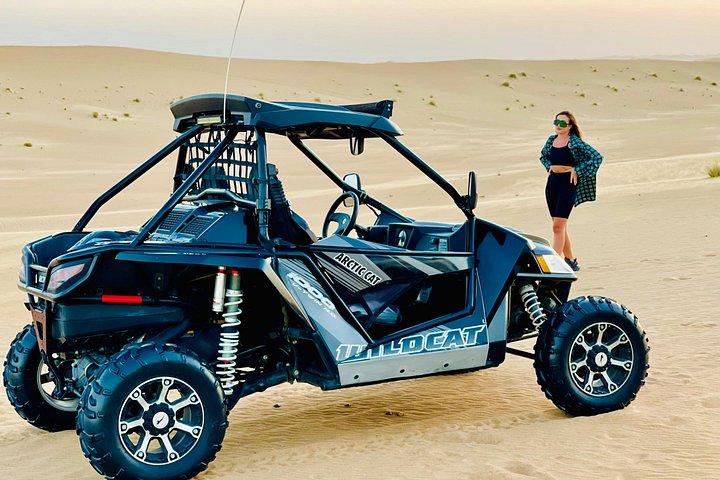 Dune Raiders