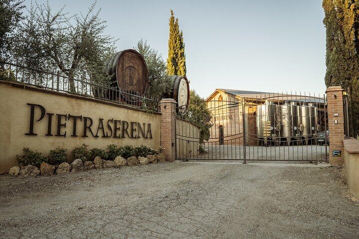 5 degustações de vinhos em San Gimignano