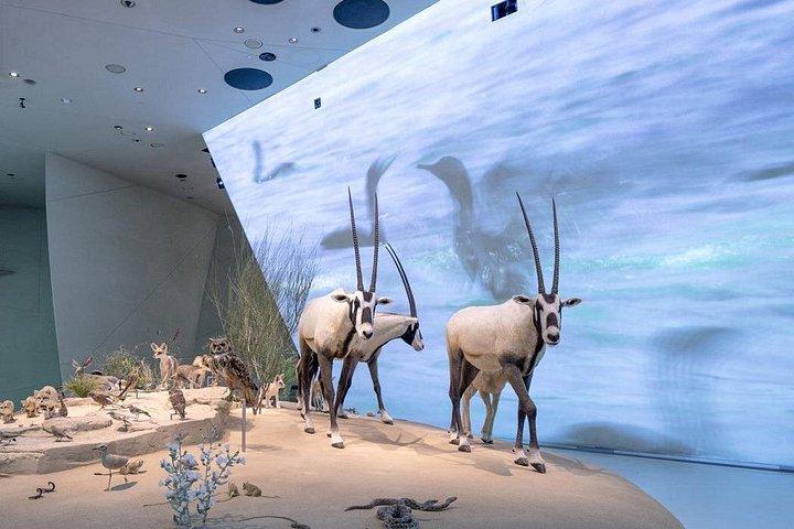 カタール博物館ガイドツアー