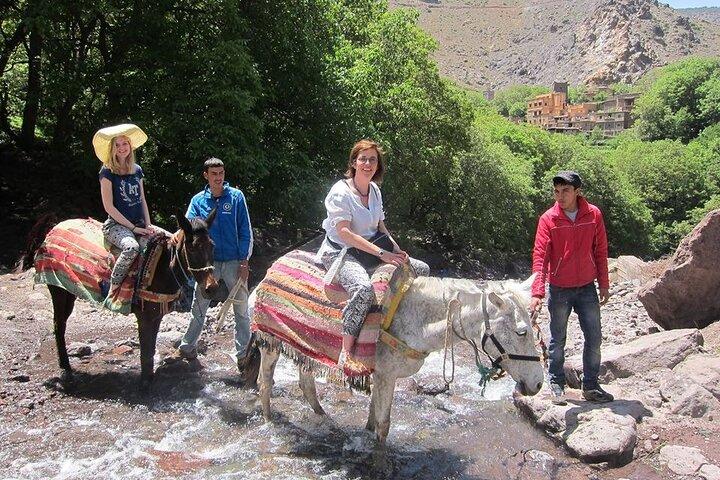 Full Day Private Trip from Marrakech to Atlas with Lunch