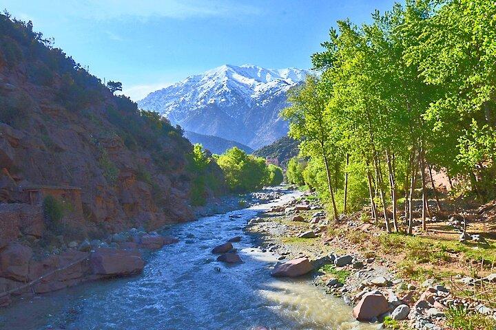 Full Day Private Trip from Marrakech to Atlas with Lunch