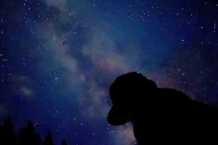バンフ星空観察ツアー-2時間ウォーキングツアー