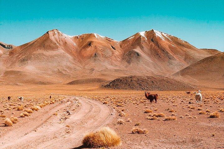 Visite privée de 3 jours des salines d'Uyuni et des lagons colorés aller-retour au départ d'Uyuni