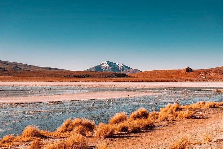 Visite privée de 3 jours des salines d'Uyuni et des lagons colorés aller-retour au départ d'Uyuni