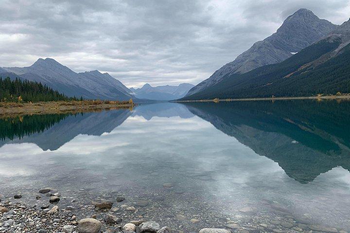 Wilderness and Wildlife Hiking Tour - 3hr Hike