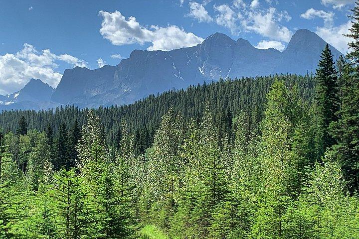 Wilderness and Wildlife Hiking Tour - 3hr Hike