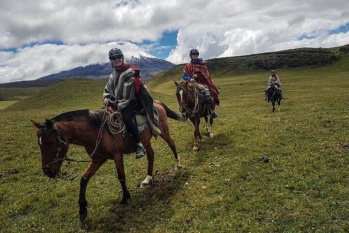 Cotopaxi Reittour ab Quito – Anden Abenteuer