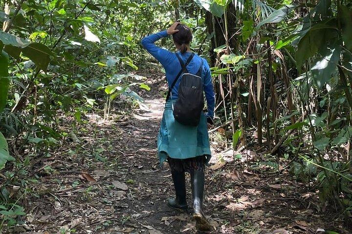 6-daagse tour in Manu National Park / Cusco - Puerto Maldonado