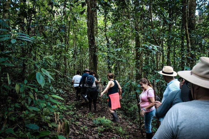 6-daagse tour in Manu National Park / Cusco - Puerto Maldonado