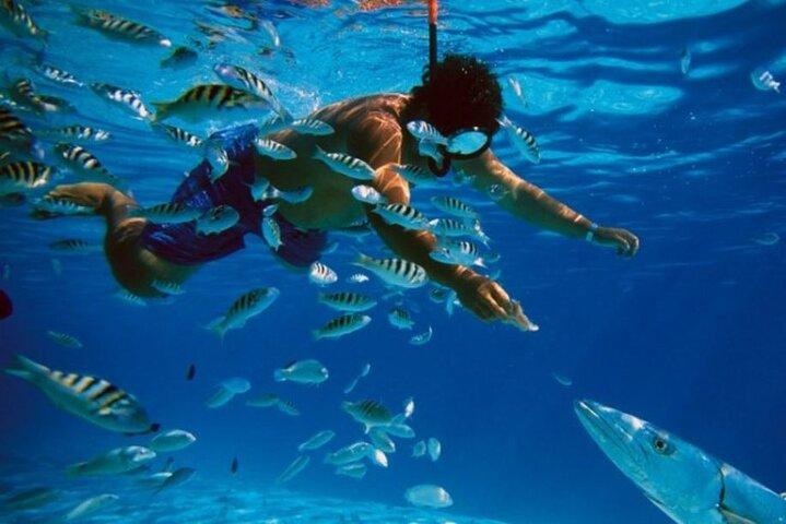 Full-Day Tour Cozumel en Catamarán con Snorkel en el Cielo & Kuza
