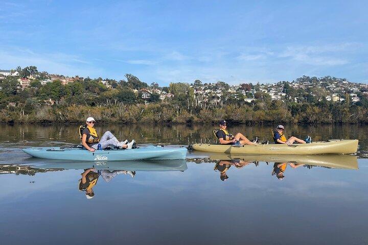 Guided Kayak Tour on Launceston's scenic waterfront on foot powered Hobie kayaks