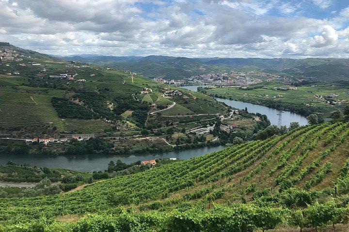 Douro : キンタ・DA・パチェカでのランチ付き高級ウォーキングツアー