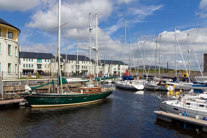 Visite privée de 8 heures à Glendalough et Wicklow au départ de Dublin