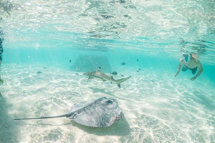 3-timers snorkeltur