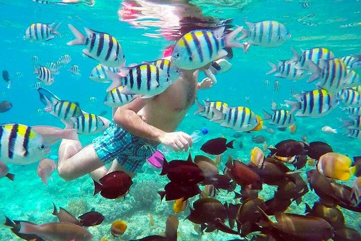 de Gili Trawangan : 3 gilis viagem de snorkel com câmera Gopro