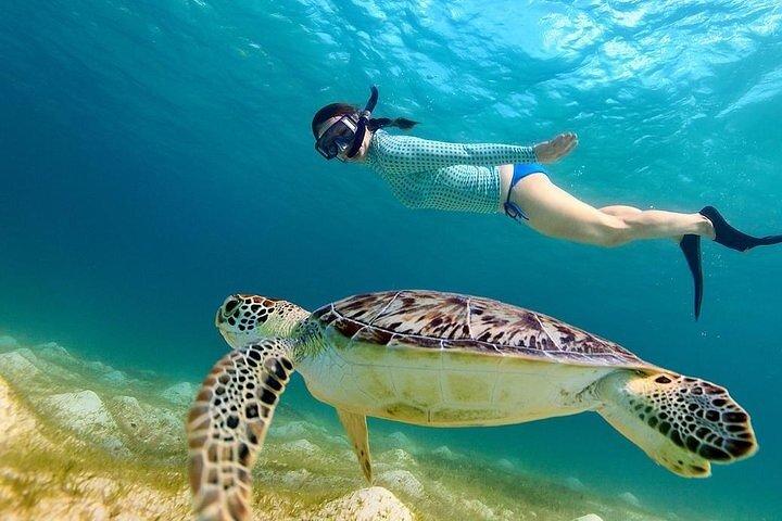 de Gili Trawangan : 3 gilis viagem de snorkel com câmera Gopro