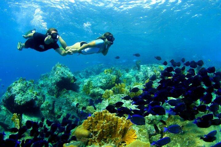 de Gili Trawangan : 3 gilis viagem de snorkel com câmera Gopro