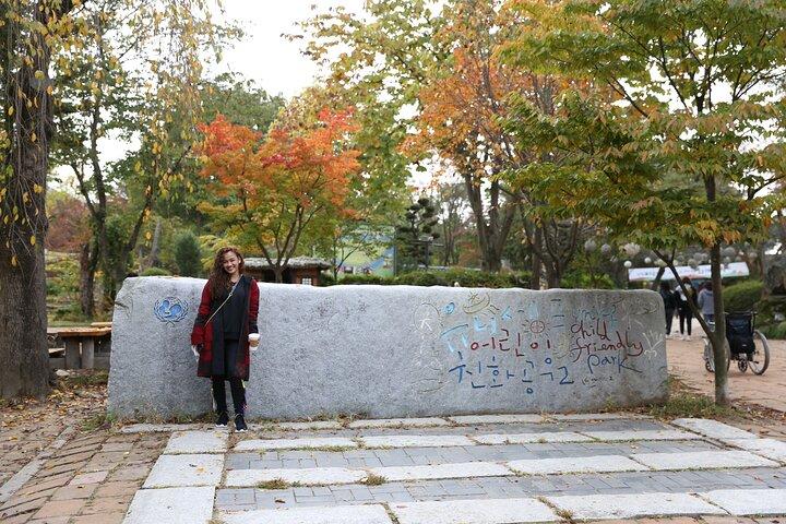 Private Tagestour Nami Island
