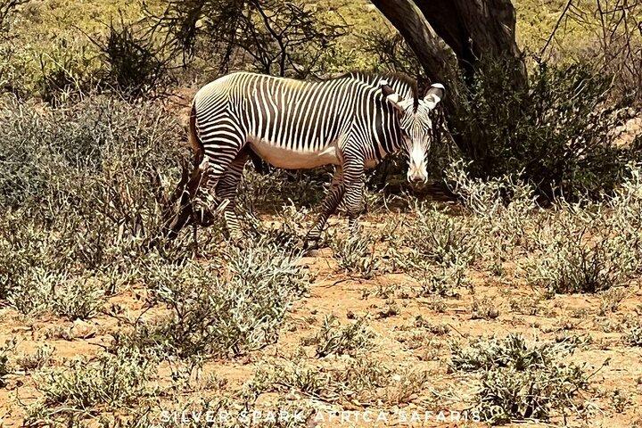 Reserva Maasai Mara de 6 dias, Lago Naivasha, Parque Nacional Amboseli