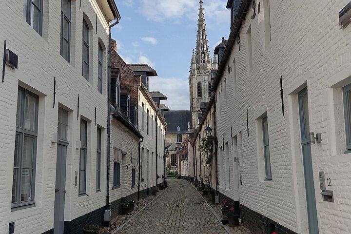 Privat Leuven-tur: Historie, arv og mad