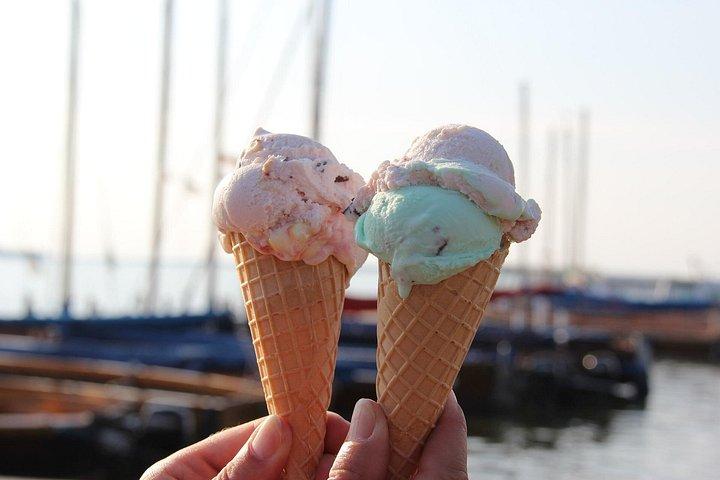 ミラノからの終日ガルダ湖とデゼンツァーノ デル ガルダ - 小グループ ツアー