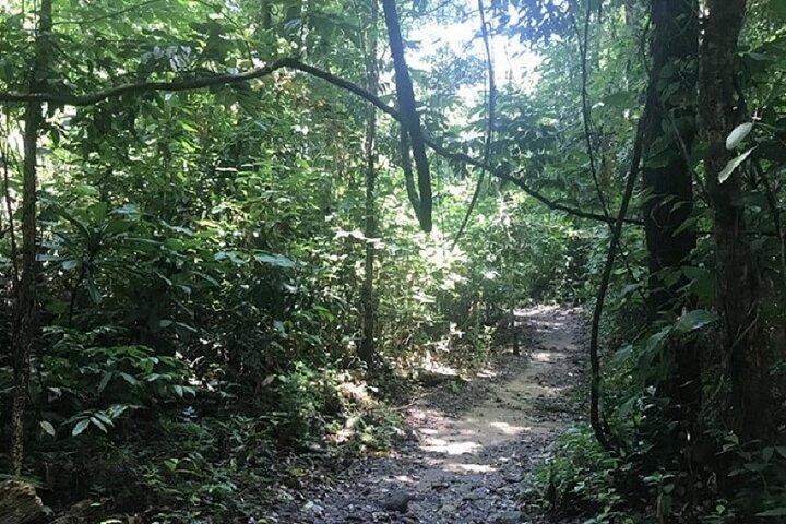 Khaosok Jungle Exploration from Khaolak