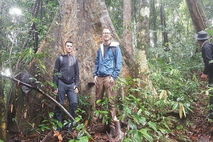 Khaosok Jungle Exploration from Khaolak