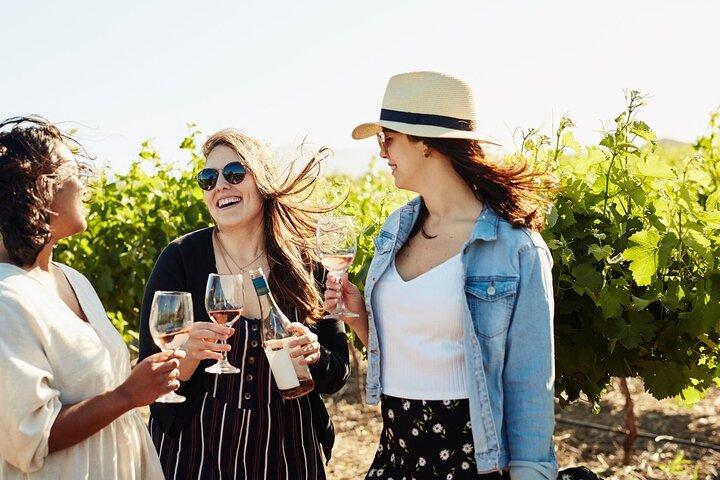Winelands Explore Full Day Tour: Franschhoek, Paarl, Stellenbosch