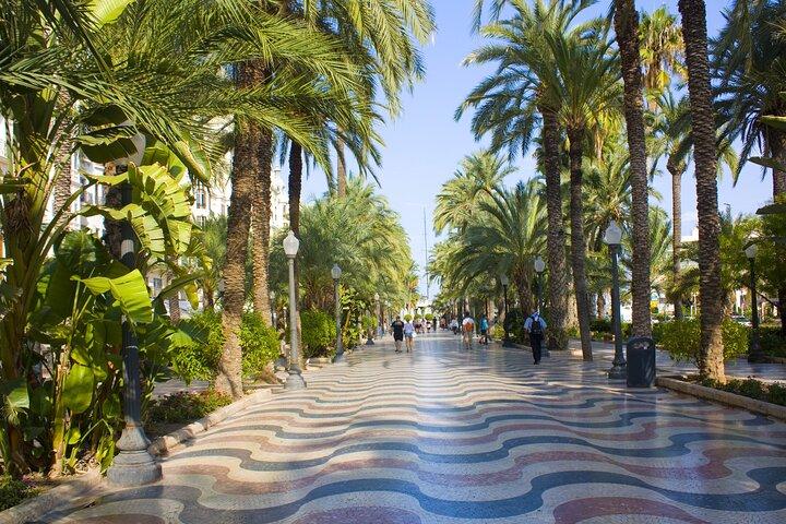 Faits saillants et joyaux cachés avec les habitants: visite privée du meilleur d'Alicante