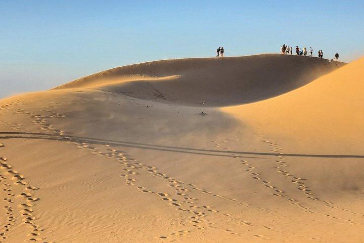 Sahara desert day trip and paradise valley with camel ride, lunch