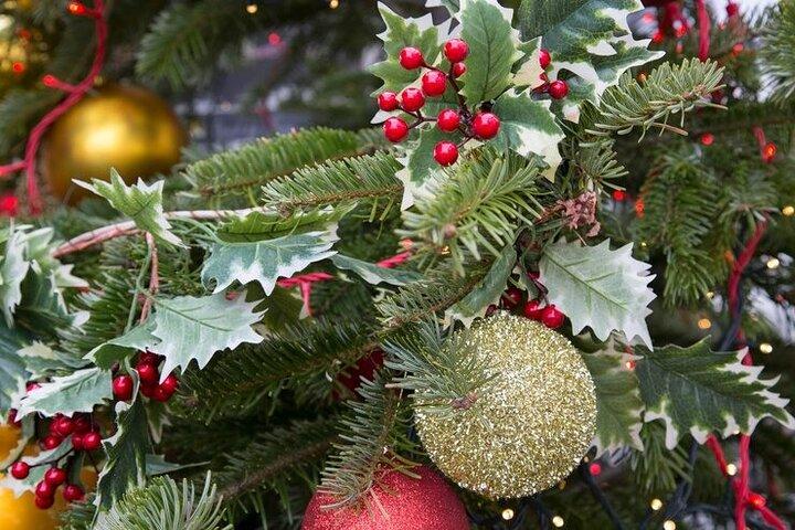 Christmas Food & Walking Tour in Lisbon