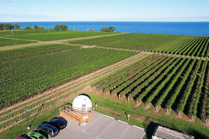 1 Stunde Private Vineyard Dome Experience in Niagara-on-the-Lake