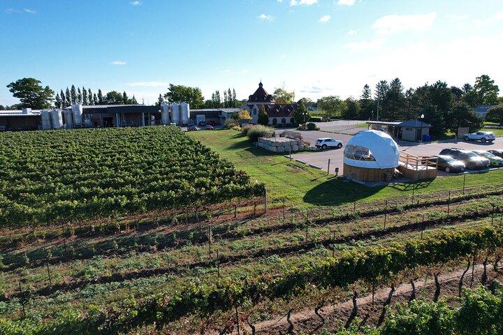 1 Stunde Private Vineyard Dome Experience in Niagara-on-the-Lake