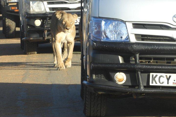 Aventura privada: Nairobi park, Centro de elefantes y jirafas