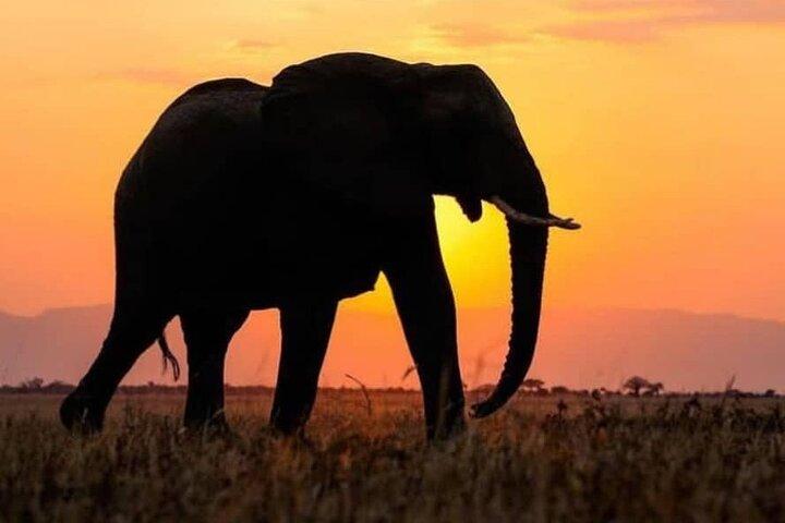 Safári privado de 5 dias no Kidepo Valley Park em Uganda