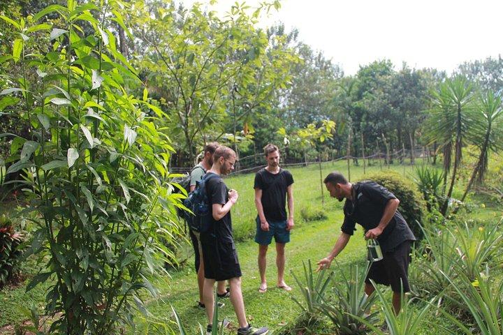 Sarapiqui rafting with organic farm