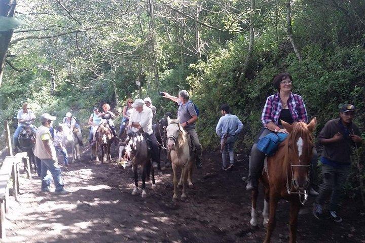 ¡Excursión al volcán Pacaya desde Antigua!
