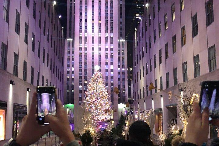 Artful Holiday Lights & Sights