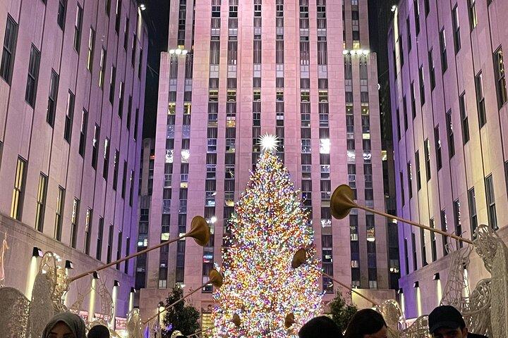 Artful Holiday Lights & Sights
