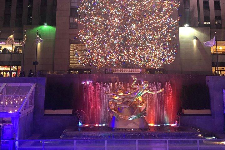 Artful Holiday Lights & Sights