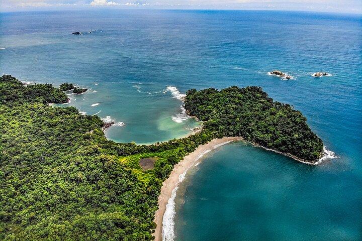 Promenade guidée privée du parc national Manuel Antonio