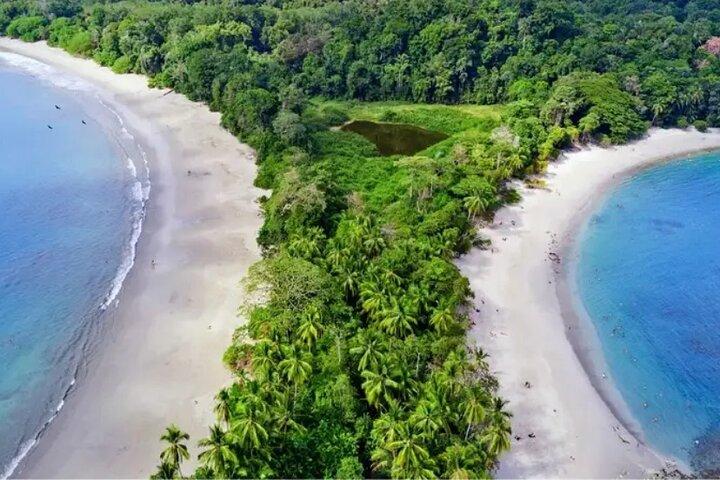 Promenade guidée privée du parc national Manuel Antonio