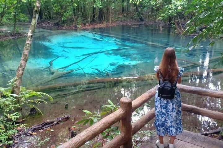 Descubra Krabi: piscina esmeralda, aguas termales y templo de la cueva del tigre