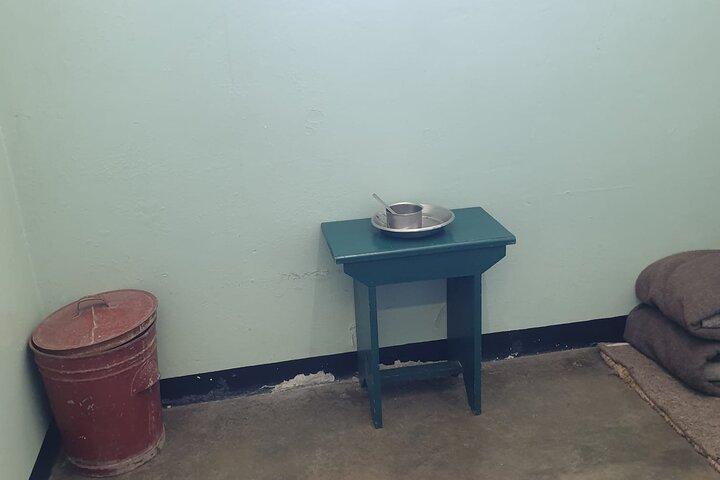 Privat heldagstur til Robben Island og Taffelbjerget