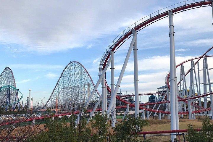 HIACEによるプライベート＆カスタムなばなの里日帰りツアー（最大9名）