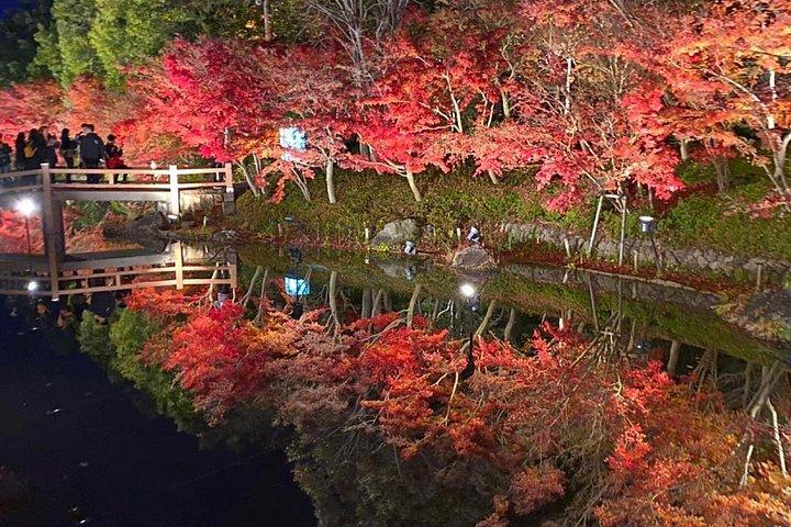 HIACEによるプライベート＆カスタムなばなの里日帰りツアー（最大9名）