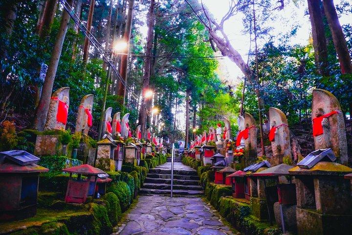 大阪・京都・奈良の隠れた名所 - 地元ガイドによる専用車ツアー