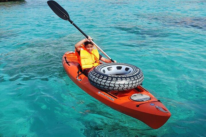 ディマニヤット島での半日プライベート ツアーとシュノーケリング体験